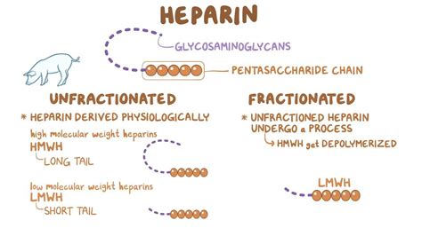 heparin meaning.
